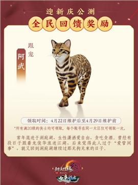 天龙八部私服高级假人